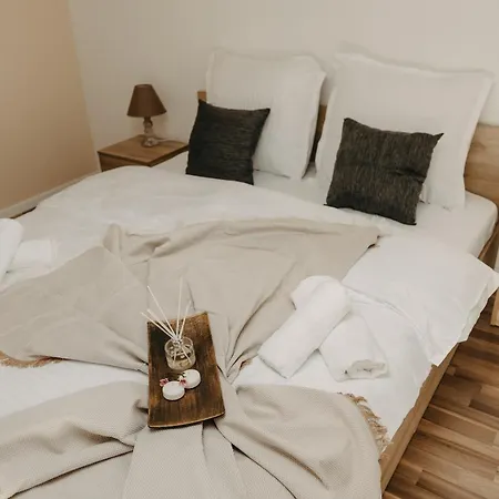 Holiday Central Appartamento Timisoara