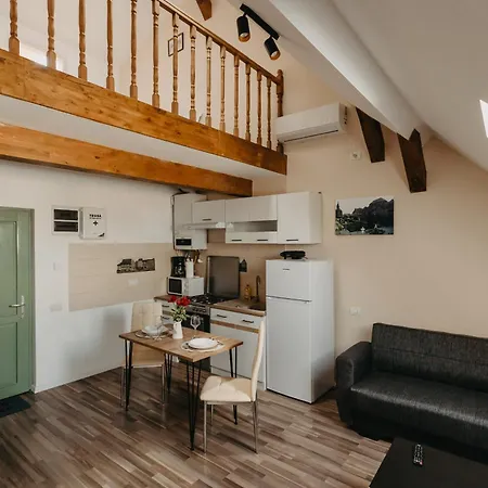 Holiday Central Appartamento Timisoara