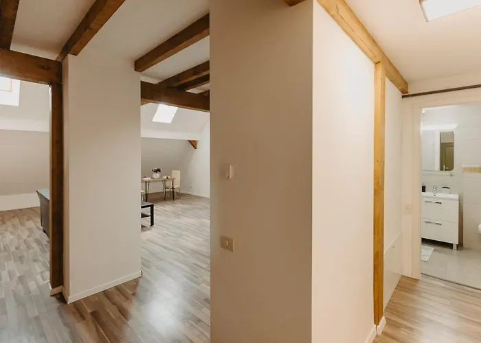 Apartment Holiday Central Timisoara