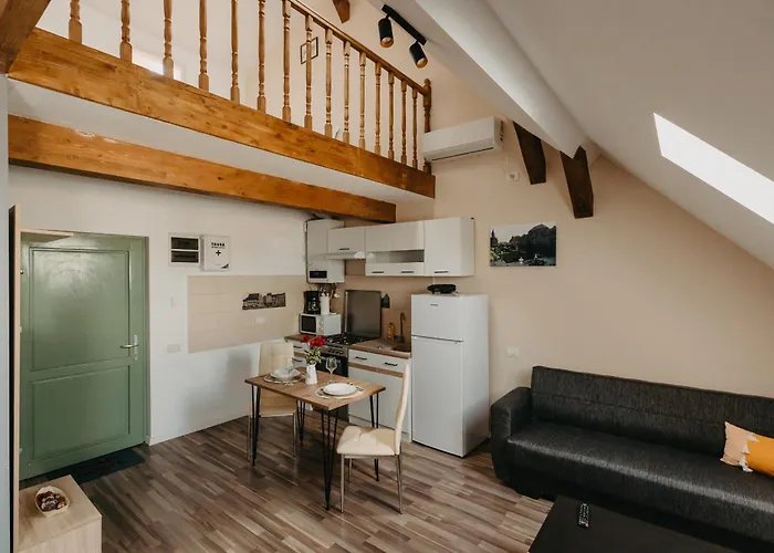 Holiday Central Apartment Timisoara